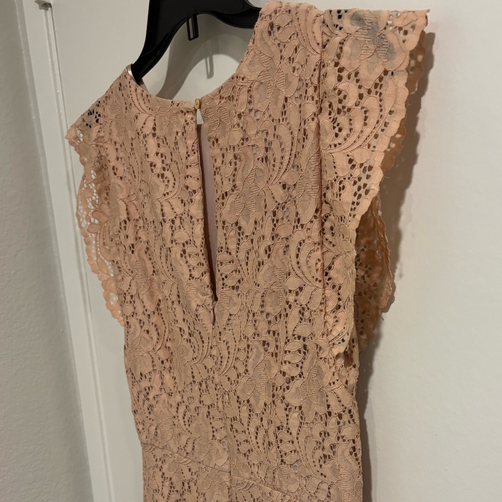 ZARA Elegant Lace Dress, Medium - Picture 6 of 9